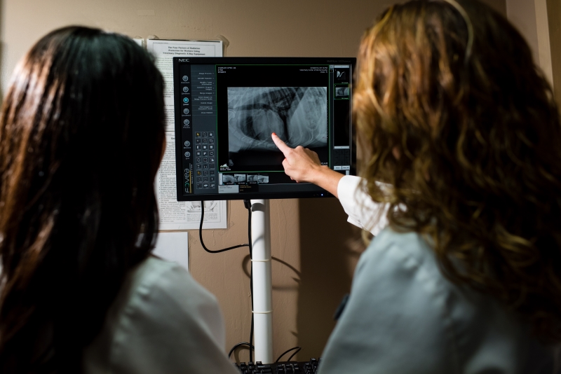 Radiology and Dental Radiology